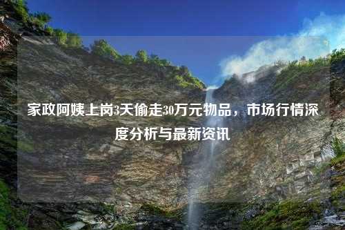 家政阿姨上岗3天偷走30万元物品，市场行情深度分析与最新资讯