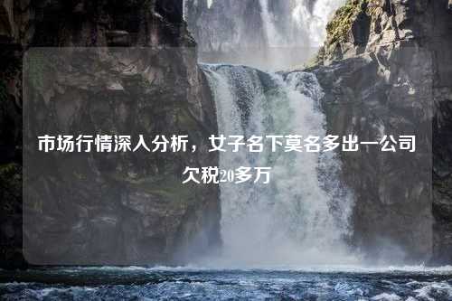 市场行情深入分析，女子名下莫名多出一公司欠税20多万