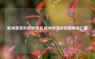 杭州放茶叶的收纳盒,杭州放茶叶的收纳盒厂家