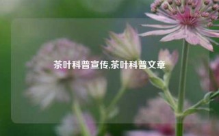 茶叶科普宣传,茶叶科普文章