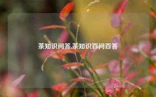 茶知识问答,茶知识百问百答