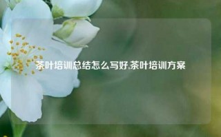 茶叶培训总结怎么写好,茶叶培训方案