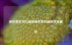 那些茶叶可以减肥哪些茶叶减肥效果最好