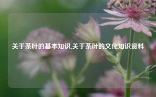 关于茶叶的基本知识,关于茶叶的文化知识资料