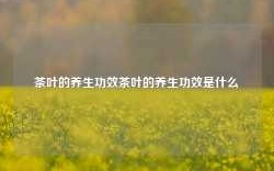 茶叶的养生功效茶叶的养生功效是什么