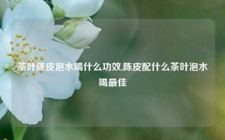 茶叶陈皮泡水喝什么功效,陈皮配什么茶叶泡水喝最佳