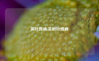 茶叶斑病,茶树叶斑病