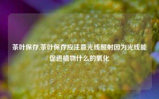 茶叶保存,茶叶保存应注意光线照射因为光线能促进植物什么的氧化