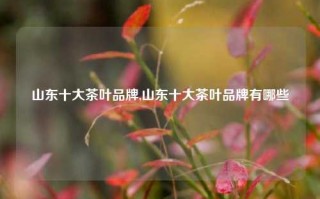 山东十大茶叶品牌,山东十大茶叶品牌有哪些