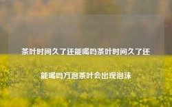 茶叶时间久了还能喝吗茶叶时间久了还能喝吗方泡茶叶会出现泡沫