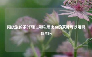 隔夜泡的茶叶可以用吗,隔夜泡的茶叶可以用吗有毒吗