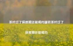 茶叶过了保质期还能喝吗罐装茶叶过了保质期还能喝吗