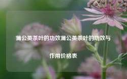 蒲公英茶叶的功效蒲公英茶叶的功效与作用价格表