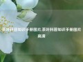 茶叶科普知识手册图片,茶叶科普知识手册图片高清