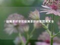 极简茶叶包装极简茶叶包装图片大全