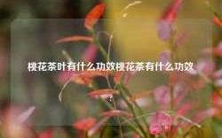 桃花茶叶有什么功效桃花茶有什么功效?