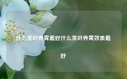 什么茶叶养胃最好什么茶叶养胃效果最好