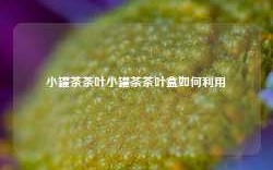 小罐茶茶叶小罐茶茶叶盒如何利用