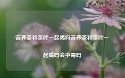 苦荞茶和茶叶一起喝吗苦荞茶和茶叶一起喝吗会中毒吗