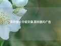 茶叶图片介绍文案,茶叶图片广告