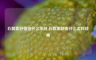 石瓢紫砂壶泡什么茶叶,石瓢紫砂壶什么泥料经典