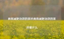 具有减肥功效的茶叶具有减肥功效的茶叶是什么