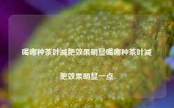 喝哪种茶叶减肥效果明显喝哪种茶叶减肥效果明显一点