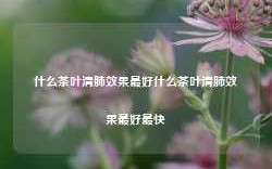 什么茶叶清肺效果最好什么茶叶清肺效果最好最快