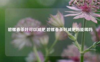 碧螺春茶叶可以减肥,碧螺春茶叶减肥吗能喝吗