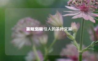 茶叶文案
简短,最吸引人的茶叶文案