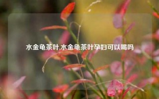 水金龟茶叶,水金龟茶叶孕妇可以喝吗