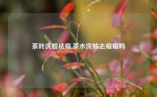 茶叶洗脸祛痘,茶水洗脸去痘痘吗