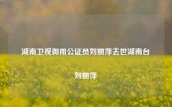 湖南卫视御用公证员刘丽萍去世湖南台刘丽萍