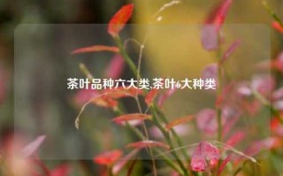 茶叶品种六大类,茶叶6大种类