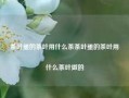 茶叶蛋的茶叶用什么茶茶叶蛋的茶叶用什么茶叶做的