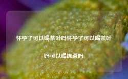 怀孕了可以喝茶叶吗怀孕了可以喝茶叶吗可以喝绿茶吗