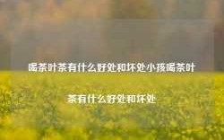 喝茶叶茶有什么好处和坏处小孩喝茶叶茶有什么好处和坏处