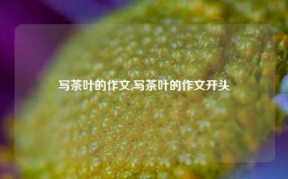 写茶叶的作文,写茶叶的作文开头