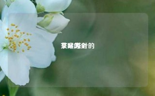 茶叶的
文案,茶叶的
文案大全