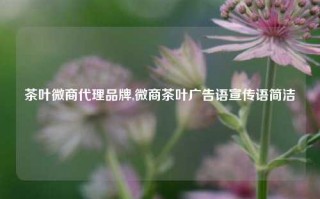 茶叶微商代理品牌,微商茶叶广告语宣传语简洁