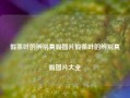 假茶叶的辨别真假图片假茶叶的辨别真假图片大全