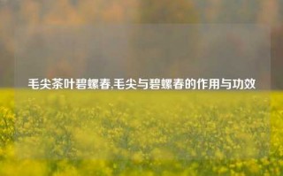 毛尖茶叶碧螺春,毛尖与碧螺春的作用与功效