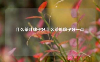 什么茶叶牌子好,什么茶叶牌子好一点