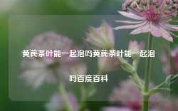 黄芪茶叶能一起泡吗黄芪茶叶能一起泡吗百度百科