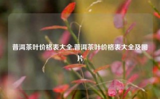 普洱茶叶价格表大全,普洱茶叶价格表大全及图片