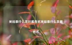 吴裕泰什么茶叶最有名吴裕泰什么茶最出名