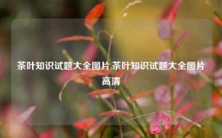 茶叶知识试题大全图片,茶叶知识试题大全图片高清