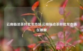 云南临沧茶叶批发市场,云南临沧茶叶批发市场在哪里