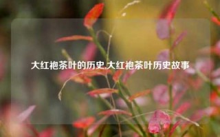 大红袍茶叶的历史,大红袍茶叶历史故事