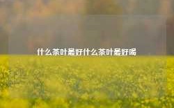 什么茶叶最好什么茶叶最好喝